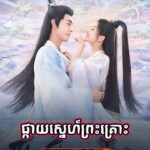 The Starry Love (2023)