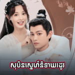 Sobin Senh Niteaka Rodov 49E