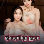 Pleung Sneh Vannak Krousar